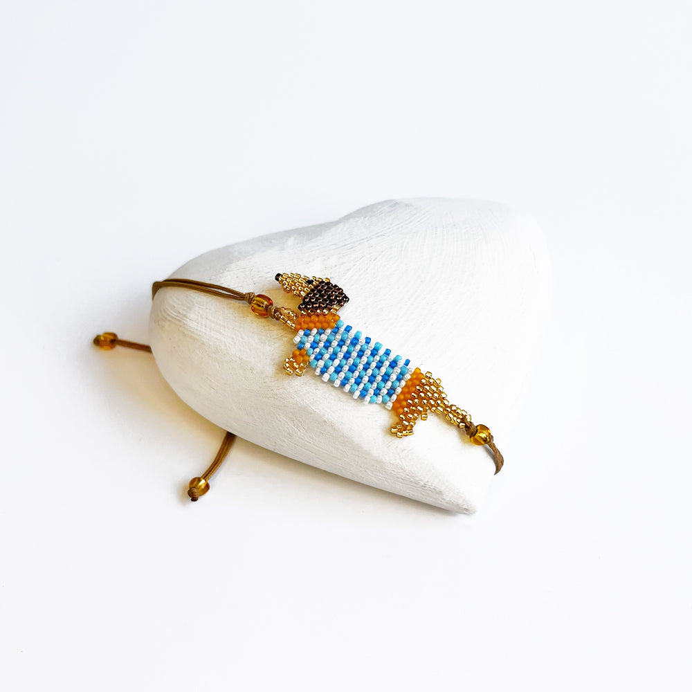 Dachshund with blue jacket